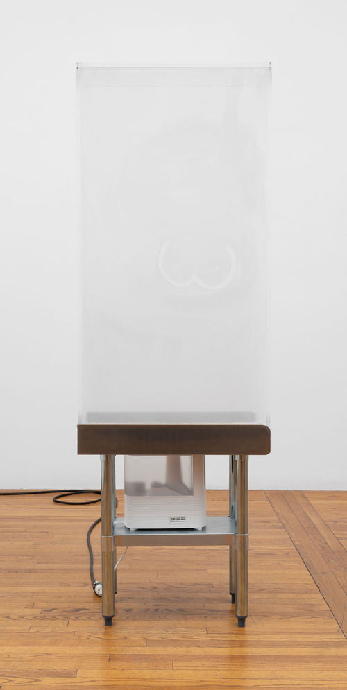 AC_MistDrawing%28boobs%29_AC-25-SC-119_3