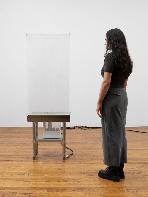 AC_MistDrawing%28penisandhearts%29_AC-25-SC-123_scale